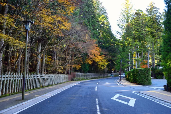 stock image Koyasan, Japan - November 20, 2019: Koyasan town with beautiful japanese maple trees in autumn seaso