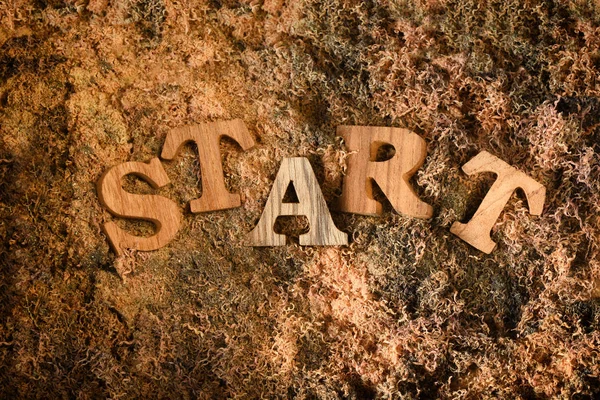 Start Word Sawdust Background Business Concept — Stock Photo, Image
