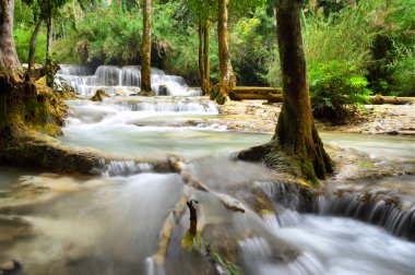 Laos 'taki Luang Prabang' da güzel bir Kung Si şelalesi.