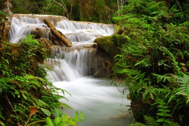 Laos 'taki Luang Prabang' da güzel bir Kung Si şelalesi.