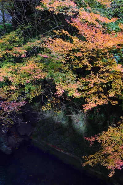 View Way Minoo Waterfall Minoo Park — Stock Photo, Image