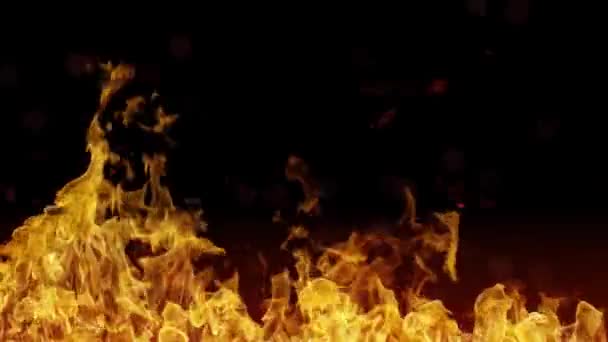 Flammendes Feuer Mit Schwarzem Hintergrund Und Funkenflug — Stockvideo