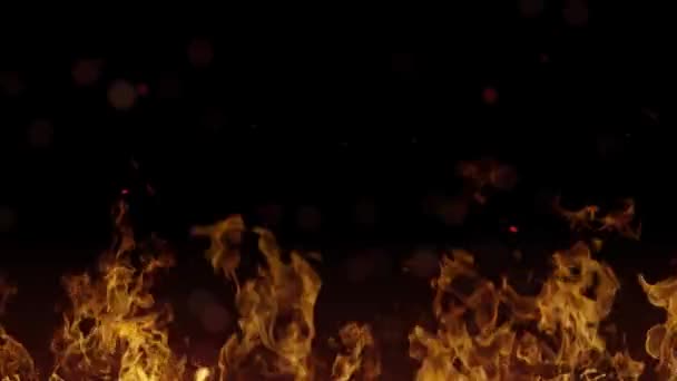 Flaming Fire Black Background Flying Sparks — Stock Video