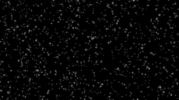 Très facile à utiliser, il suffit d'importer et d'utiliser les modes de mélange (ajouter, écran) pour rendre le fond noir transparent 