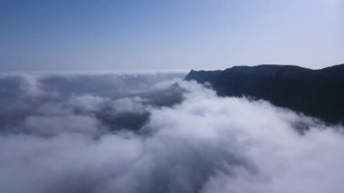 Sonbahar sezonunda, Salalah 'ın havadan görünüşündeki insansız hava aracının şaşırtıcı bir görüntüsü.