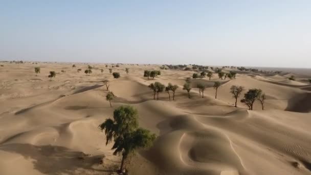 阿曼苏丹国赫马沙漠 干地和红色沙丘的无人驾驶飞机的惊人的快照 — 图库视频影像