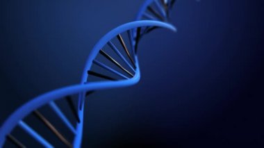 3 boyutlu animasyon, Dönen DNA 