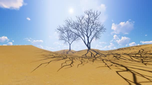 3Dアニメーション乾燥した砂漠の環境での背景 時間経過 — ストック動画
