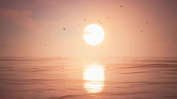 3D背景 鳥と太陽の夕日 — ストック動画