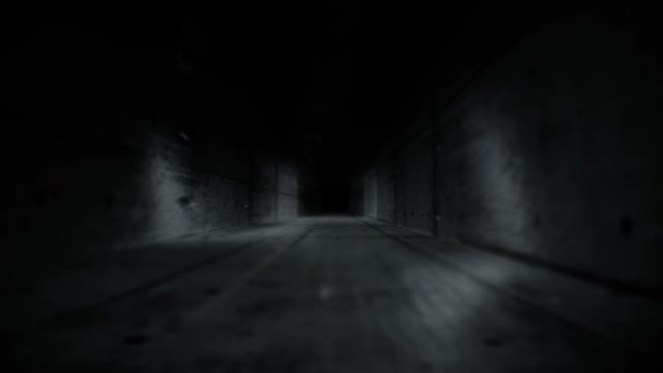 黒と白のトンネルの長い回廊 — ストック動画