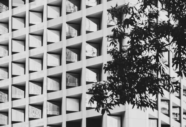 Modern Architecture, image on black and white — ストック写真