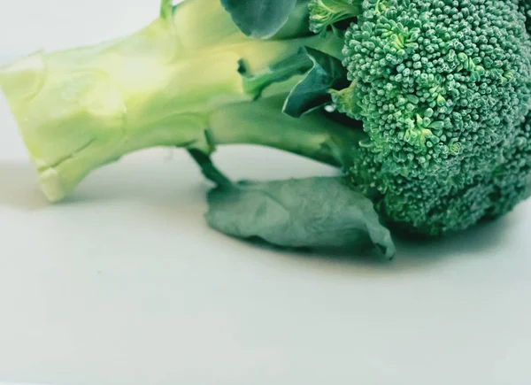 Fresh Broccoli on White background — Stock Photo, Image
