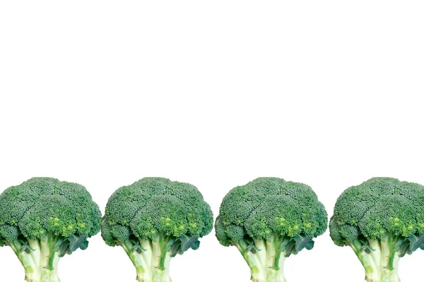 Fresh Broccoli Pattern on white background — Stock Photo, Image