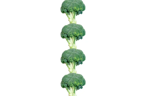 Fris Broccoli patroon op witte achtergrond — Stockfoto