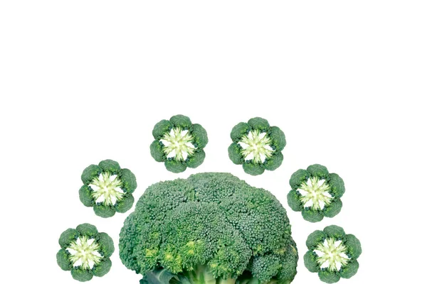 Fresco modello Broccoli su sfondo bianco — Foto Stock