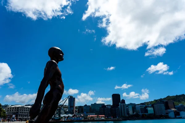 Downtown Wellington City waterfront view — Stock Photo, Image