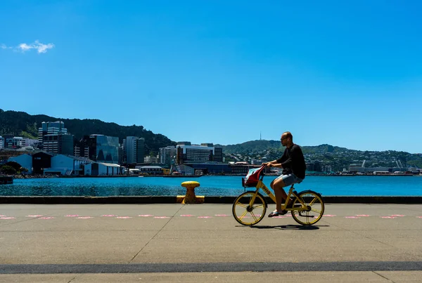 Downtown Wellington City waterfront view — Stock Photo, Image