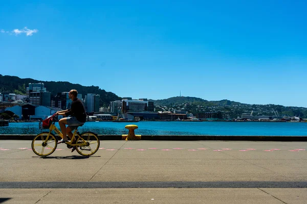 Downtown Wellington City waterfront view — Stock Photo, Image