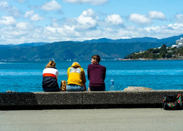 Downtown Wellington City waterfront view — Stock Photo, Image