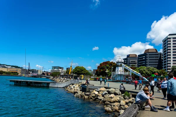 Wellington New Zealand Dec 2019 Downtown Wellington City Waterfront View — Stock Photo, Image