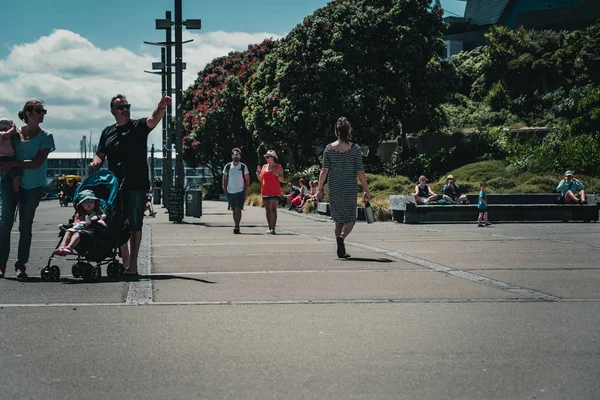 Downtown Wellington City widok na nabrzeże — Zdjęcie stockowe