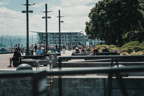Centre-ville Wellington City vue sur le front de mer — Photo