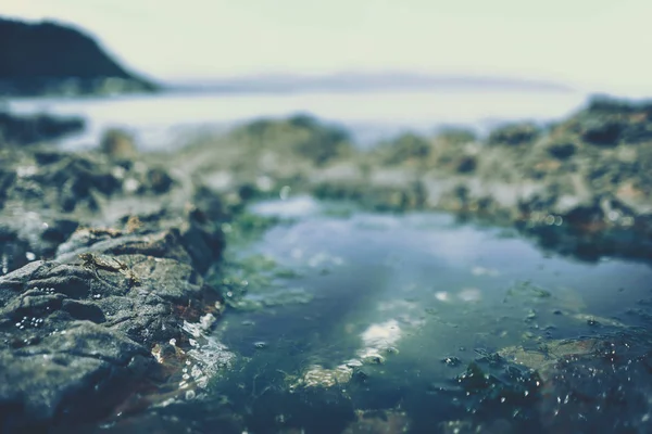 Beach rock and stone to show with beach in background — 스톡 사진