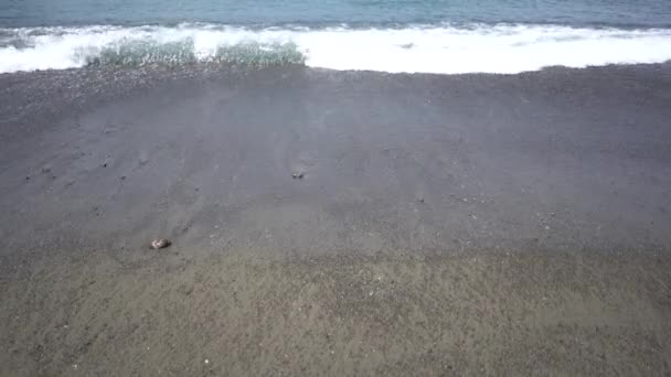 Wideo Fali Plaży Morzu Horyzont Natura — Wideo stockowe
