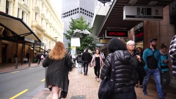 Wellington Nový Zéland Ledna 2020 Ulice Centra Wellington City Hlavním — Stock video