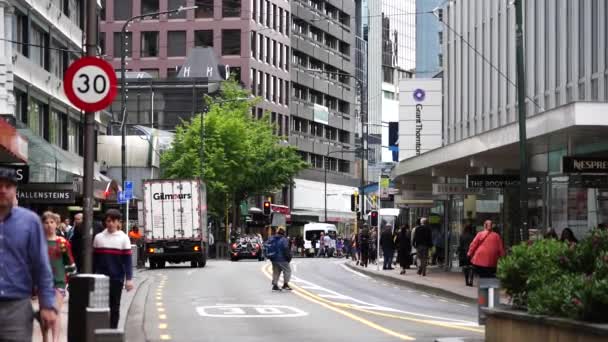 Wellington Nya Zeeland Jan 2020 Downtown Wellington City Gator Huvudstaden — Stockvideo