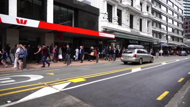 Wellington New Zealand Jan 2020 Downtown Wellington City Streets Capital — ストック動画