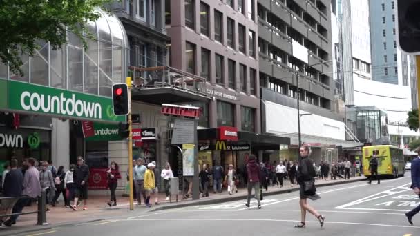 Wellington Nova Zelândia Janeiro 2020 Downtown Wellington City Ruas Capital — Vídeo de Stock
