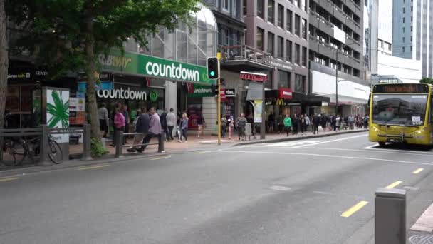 Wellington Nueva Zelanda Ene 2020 Calles Del Centro Wellington City — Vídeos de Stock
