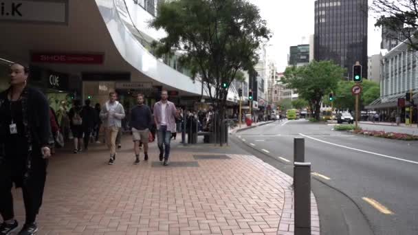 Wellington Nowa Zelandia Stycznia 2020 Downtown Wellington City Ulice Stolicy — Wideo stockowe