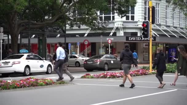 Wellington Nova Zelândia Janeiro 2020 Downtown Wellington City Ruas Capital — Vídeo de Stock