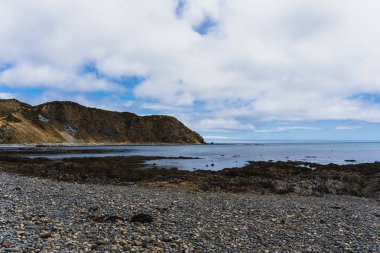 Wellington, Yeni Zelanda manzarası; Makara 'dan manzara manzarası