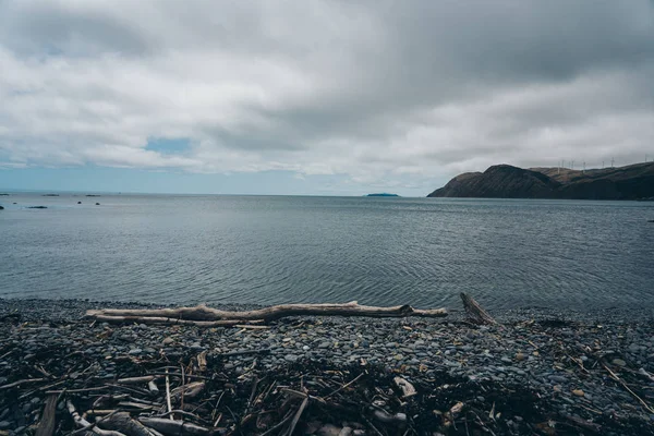 Paisagem de Wellington, Nova Zelândia; Vista panorâmica de Makara ser — Fotografia de Stock