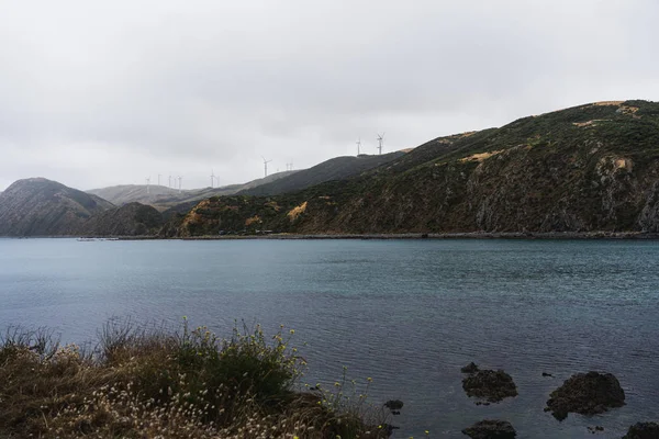 Paisagem com turbina eólica em Wellington, Nova Zelândia — Fotografia de Stock