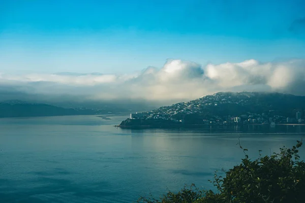 Wellington in een mistige ochtend, Nieuw-Zeeland — Stockfoto
