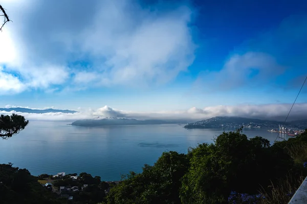 Wellington dans un matin brumeux, Nouvelle-Zélande — Photo