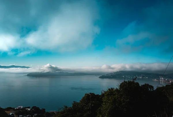 ニュージーランドの霧深い朝のウェリントン — ストック写真