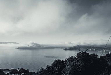 Sisli bir sabahta Wellington, siyah-beyaz tarzı.
