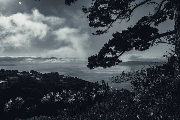 霧の朝のウェリントン;黒と白のスタイル — ストック写真