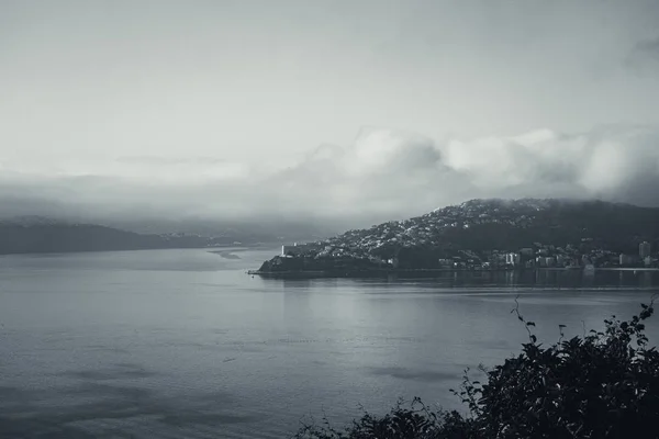 Wellington em uma manhã nebulosa; estilo preto e branco — Fotografia de Stock