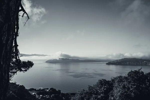Wellington an einem nebligen Morgen; schwarz-weißer Stil — Stockfoto