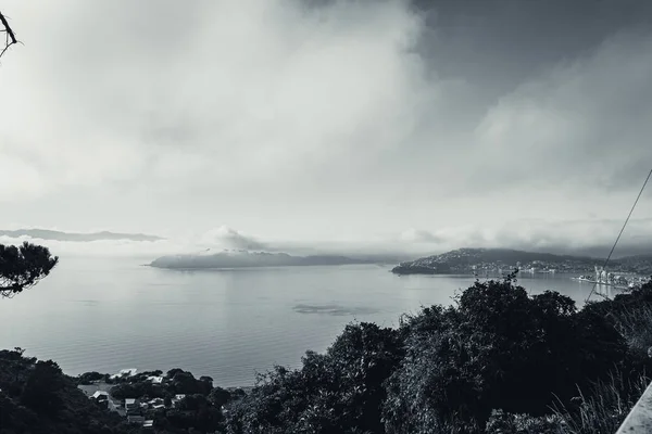 Wellington dans un matin brumeux ; style noir et blanc — Photo