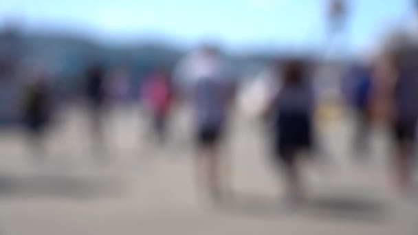 Blurred Video Downtown Wellington City Waterfront View Capital New Zealand — Stock Video