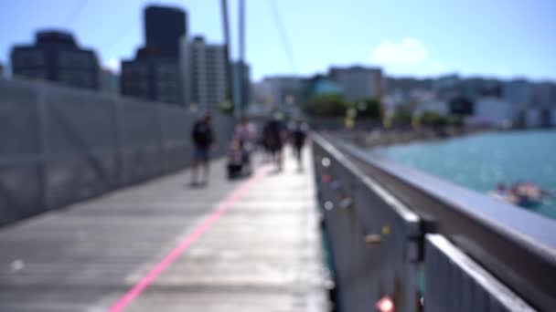 Homályos Videó Belvárosi Wellington City Vízparti Kilátás Fővárosban Zéland Lassú — Stock videók