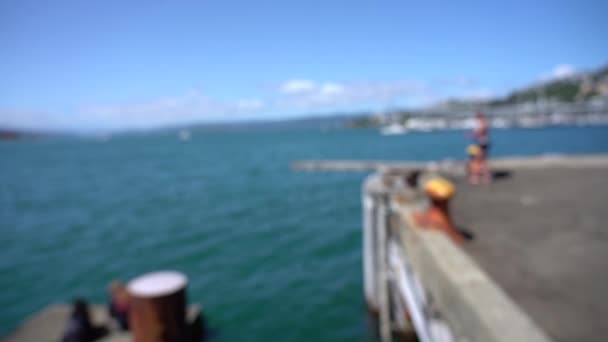 Blurred Video Downtown Wellington City Waterfront View Capital New Zealand — ストック動画