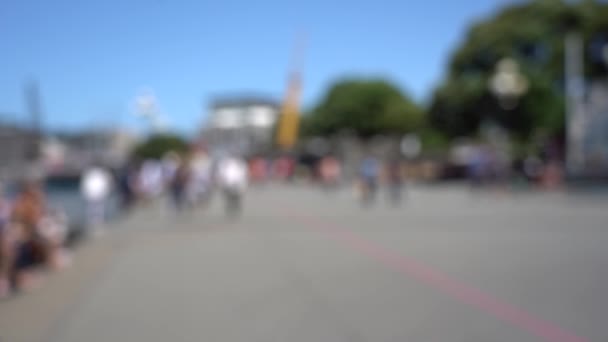 Blurred Video Downtown Wellington City Waterfront View Capital New Zealand — 图库视频影像
